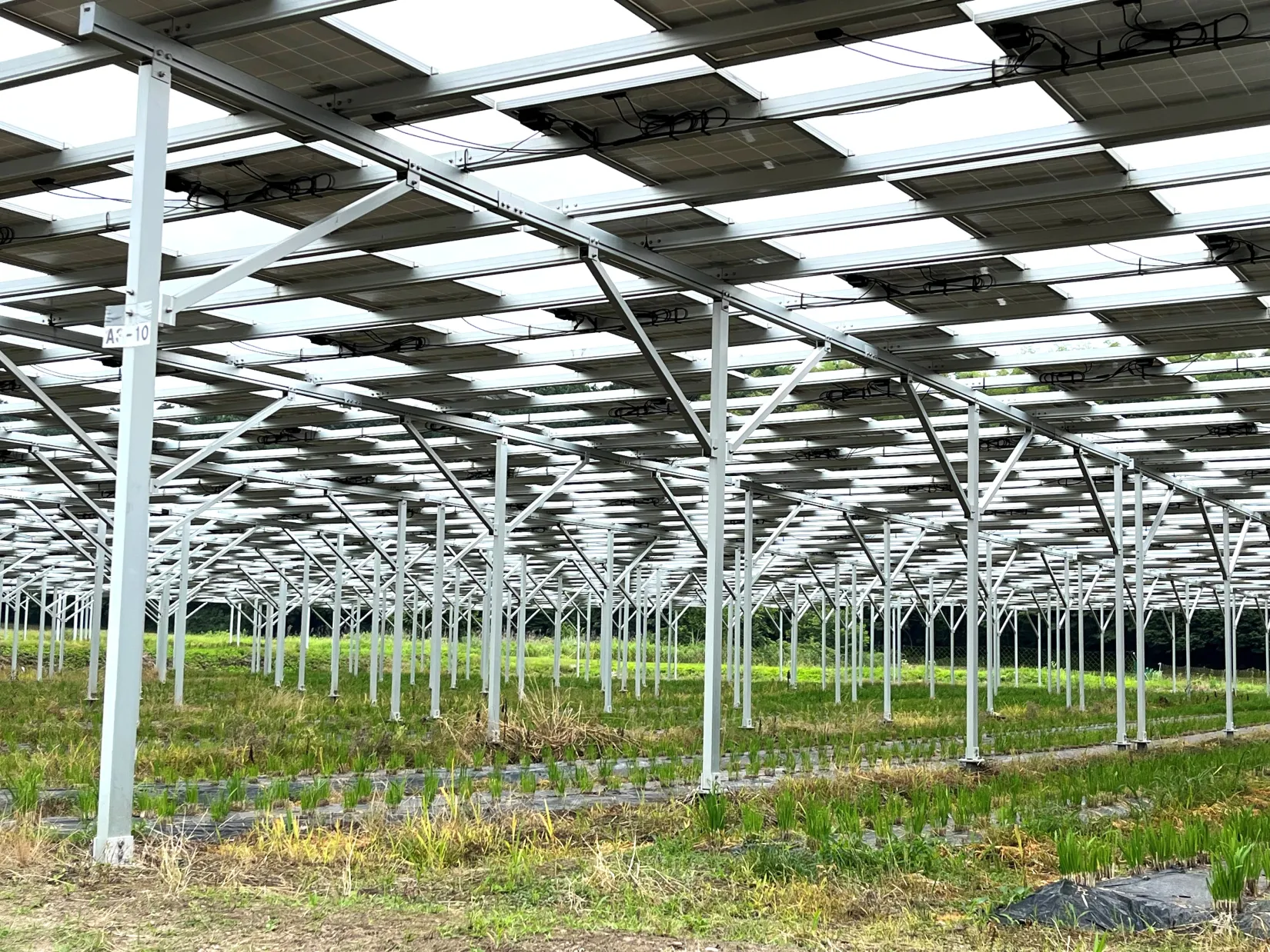 オーエスジー株式会社