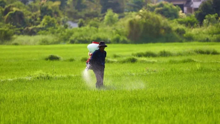 化学肥料と温室効果ガス排出の関係と企業の対策について