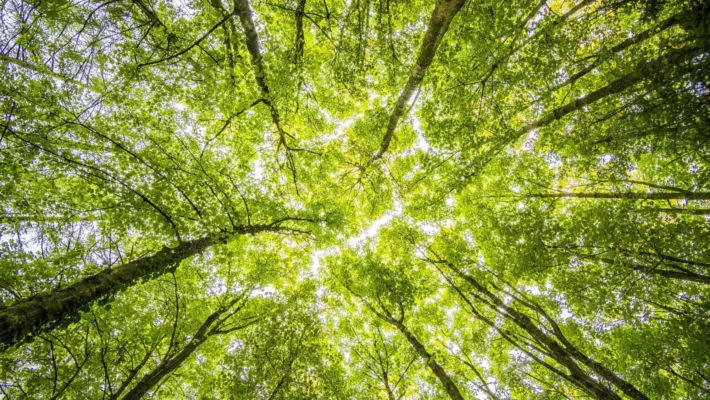 CO2排出量を減らすには？世界各国の「地球温暖化対策」と日本の「取り組み」を徹底解説