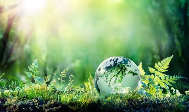 CSR/CSV/ESG/SDGsの違いは？知らないと損な基礎知識