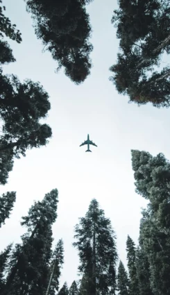 航空機のサメ肌加工とは？CO2排出量削減に挑む最新技術を解説