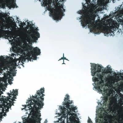 航空機のサメ肌加工とは？CO2排出量削減に挑む最新技術を解説