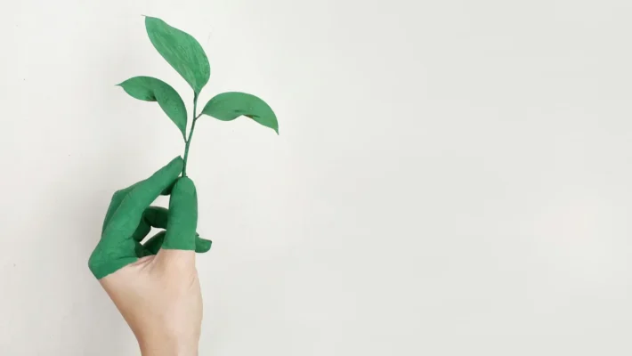 カーボンニュートラルへ向けた再生可能エネルギーの主力電源化とは?