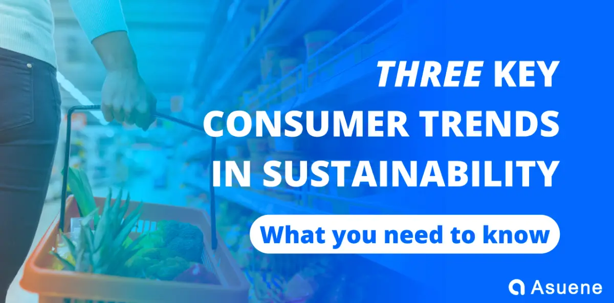 Three Key Consumer Trends in Sustainability: What You Need to Know ...