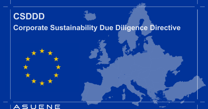 CSDDD: Corporate Sustainability Due Diligence Directive