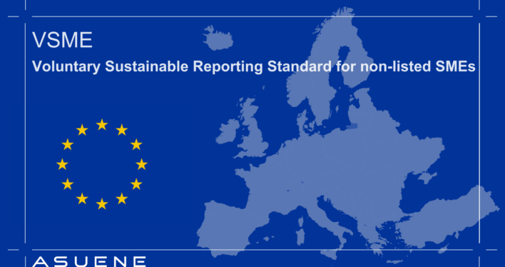 VSME: Voluntary Sustainable Reporting Standard for non-listed SMEs