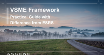 VSME Framework: Practical Guide with Difference from ESRS