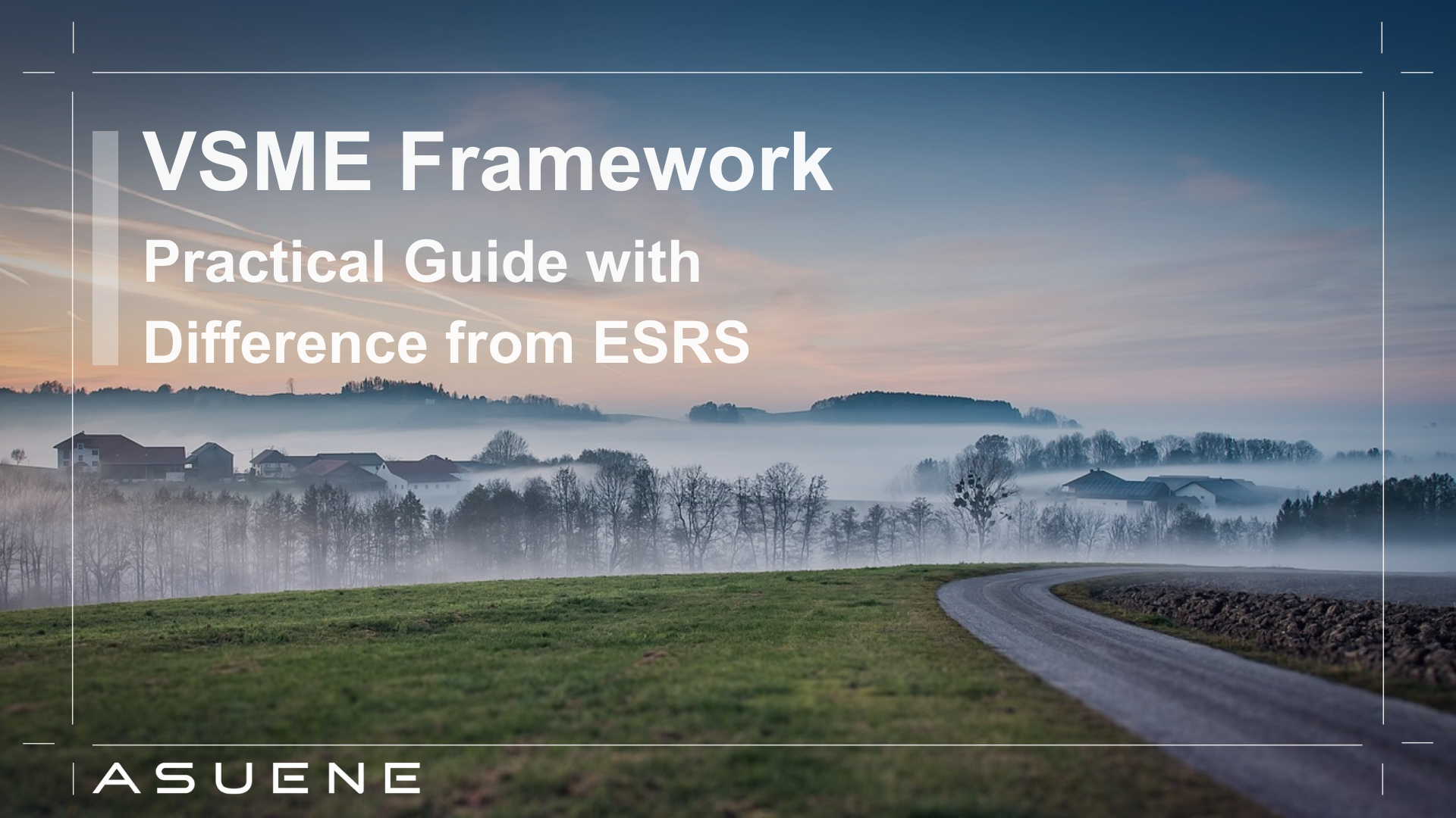 Vsme Explication VSME Framework: Practical Guide with Difference from ESRS | Blog ...