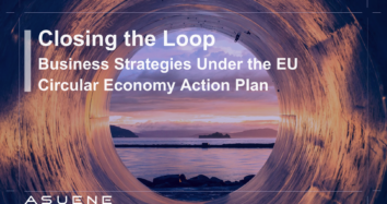 Closing the Loop: Business Strategies Under the EU Circular Economy Action Plan