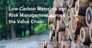 Low-Carbon Materials and Risk Management Across the Value Chain