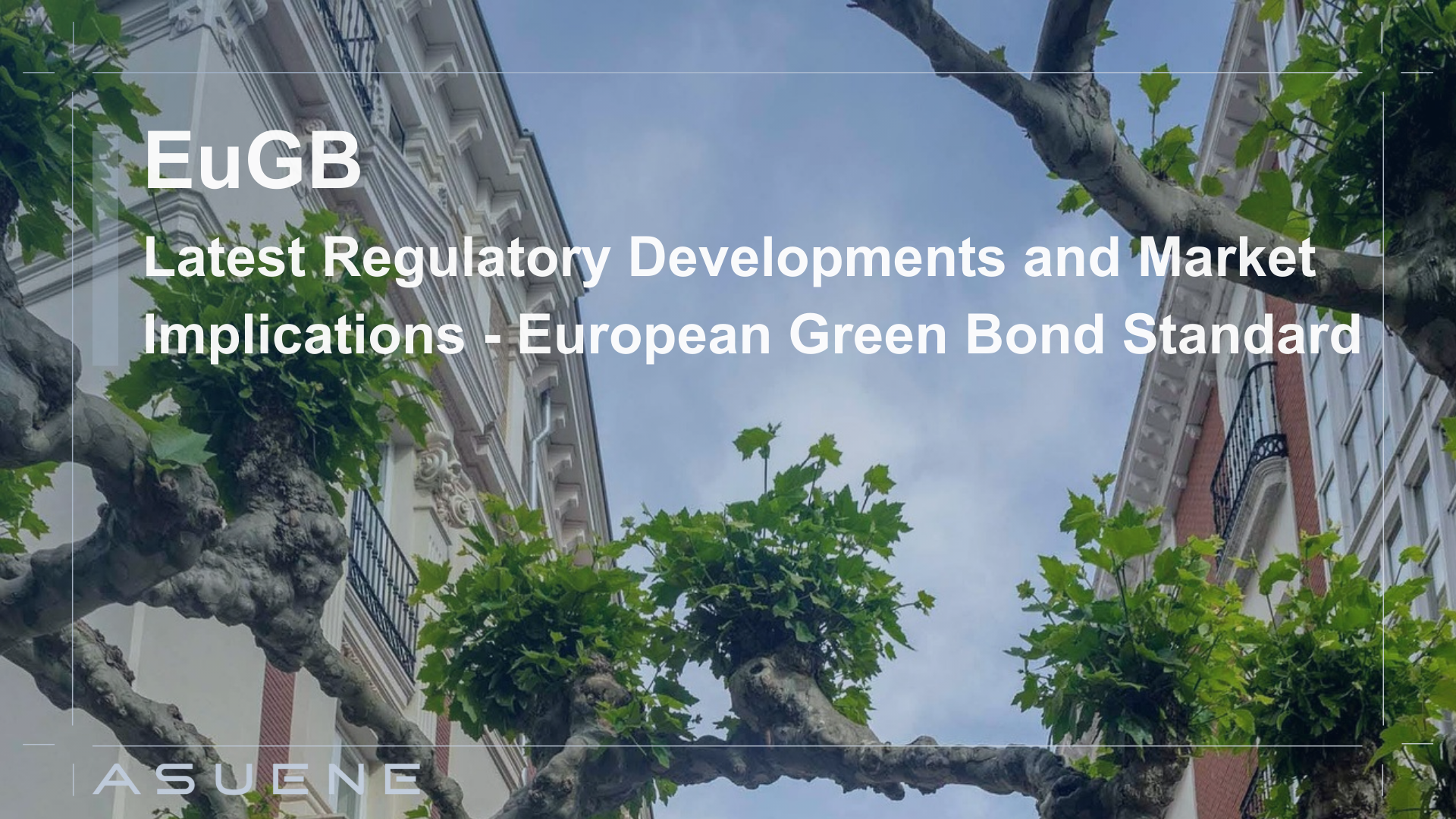 The European Green Bond Standard (EuGB): Latest Regulatory Developments ...