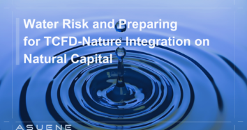 Water Risk and Preparing for TCFD-Nature Integration on Natural Capital