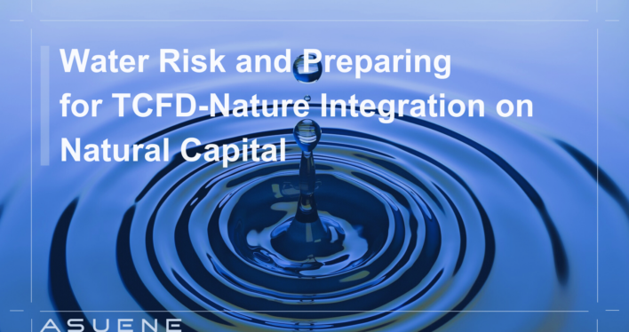 Water Risk and Preparing for TCFD-Nature Integration on Natural Capital