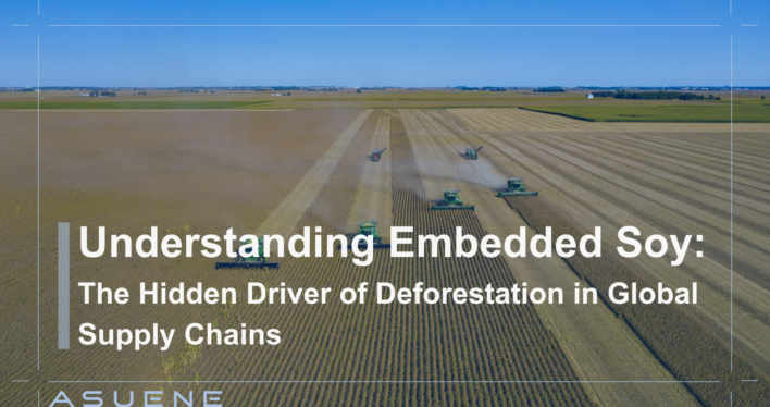 Understanding Embedded Soy: The Hidden Driver of Deforestation in Global Supply Chains