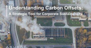 Understanding Carbon Offsets: A Strategic Tool for Corporate Sustainability