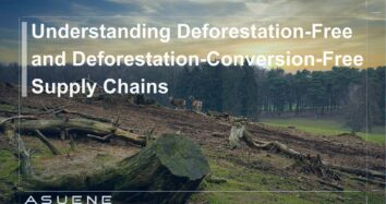 Understanding Deforestation-Free and Deforestation-Conversion-Free Supply Chains