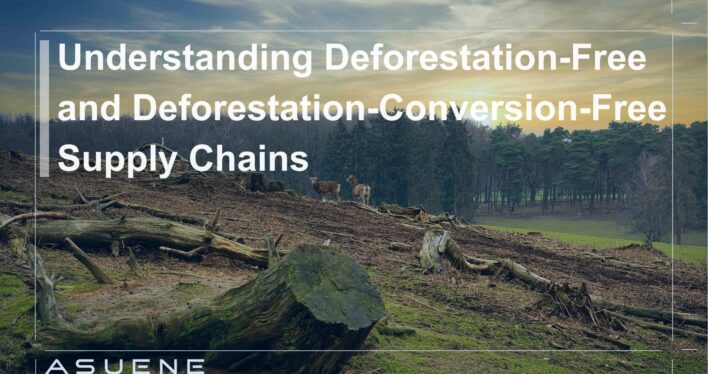Understanding Deforestation-Free and Deforestation-Conversion-Free Supply Chains