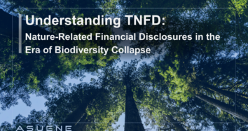 Understanding TNFD: Nature-Related Financial Disclosures in the Era of Biodiversity Collapse