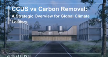 CCUS vs Carbon Removal: A Strategic Overview for Global Climate Leaders