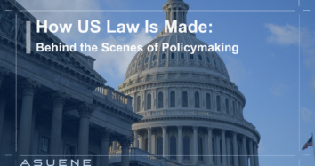 How US Law Is Made: Behind the Scenes of Policymaking