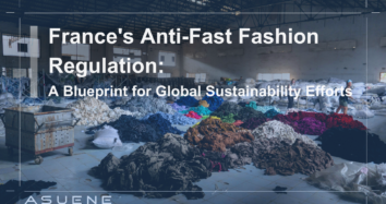 France’s Anti-Fast Fashion Regulation: A Blueprint for Global Sustainability Efforts