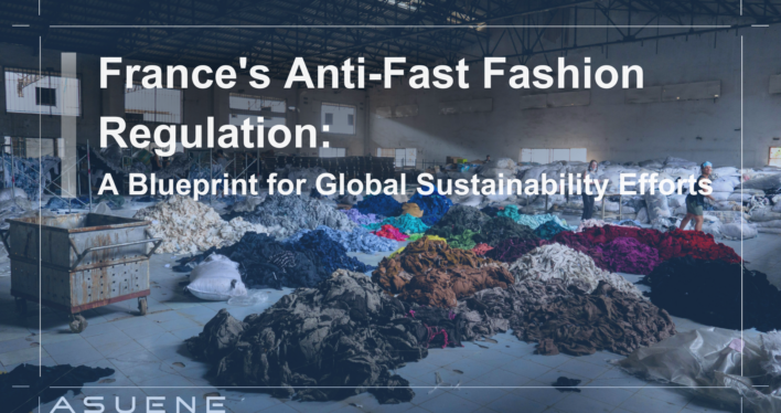France’s Anti-Fast Fashion Regulation: A Blueprint for Global Sustainability Efforts