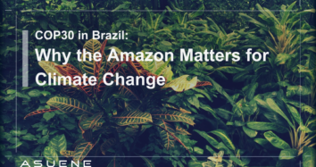 COP30 in Brazil: Why the Amazon Matters for Climate Change