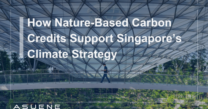 How Nature-Based Carbon Credits Support Singapore’s Climate Strategy