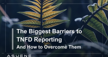 The Biggest Barriers to TNFD Reporting And How to Overcome Them