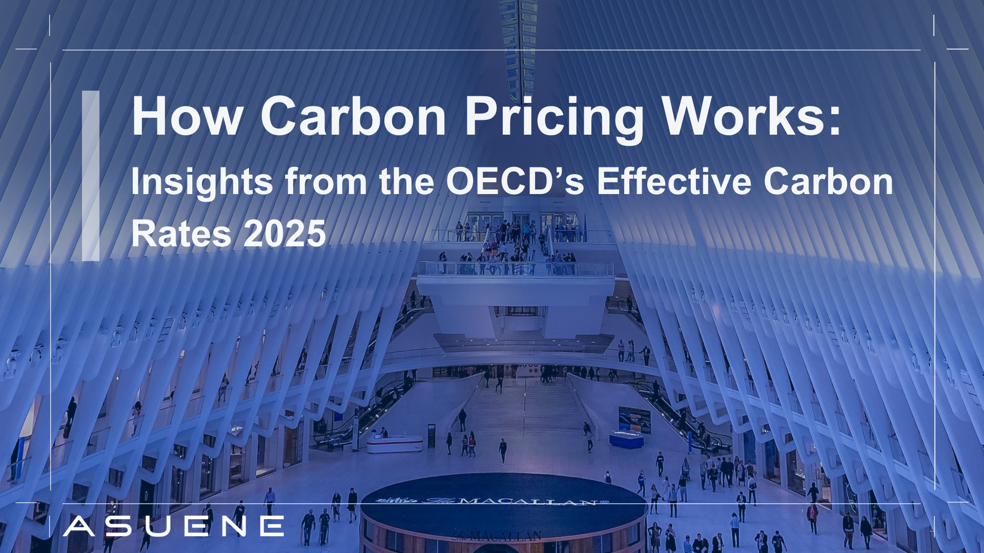 How Carbon Pricing Works: Insights from the OECD’s Effective Carbon ...
