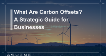 What Are Carbon Offsets? A Strategic Guide for Businesses