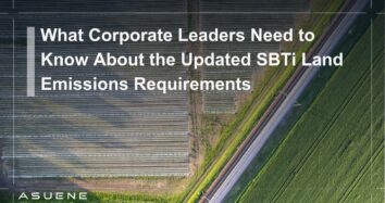 What Corporate Leaders Need to Know About the Updated SBTi Land Emissions Requirements
