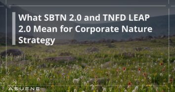 What SBTN 2.0 and TNFD LEAP 2.0 Mean for Corporate Nature Strategy