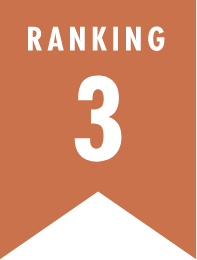 人気ランキング 3位