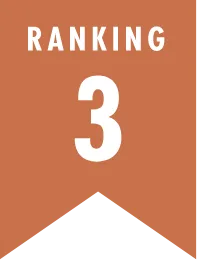 人気ランキング 3位